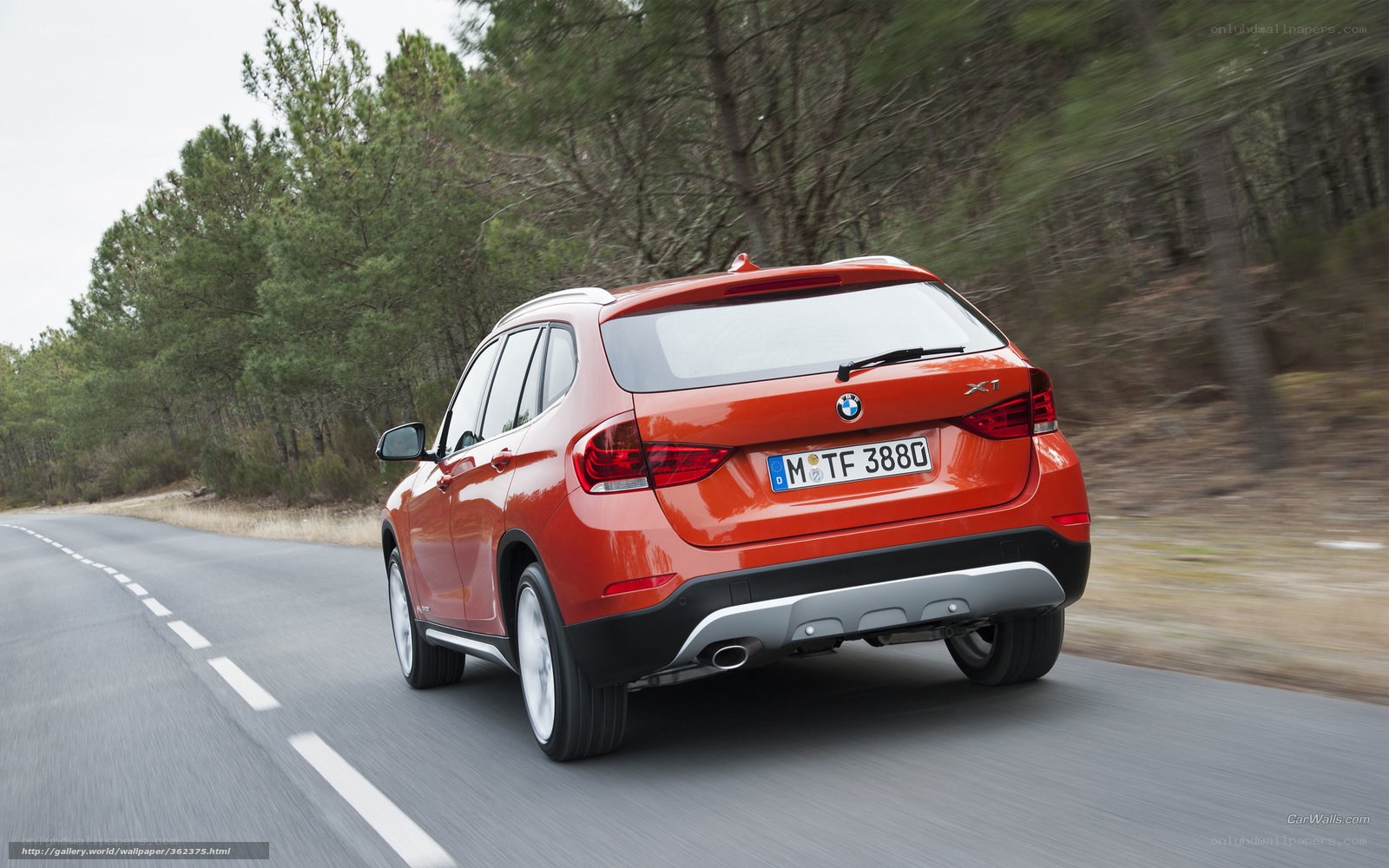 Orange BMW X1 on forest road