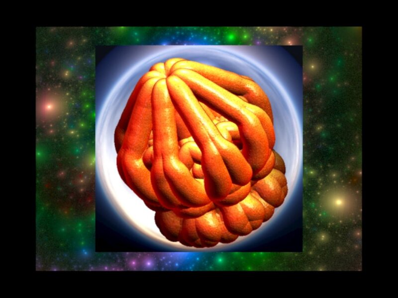 Orange Brain-like Structure