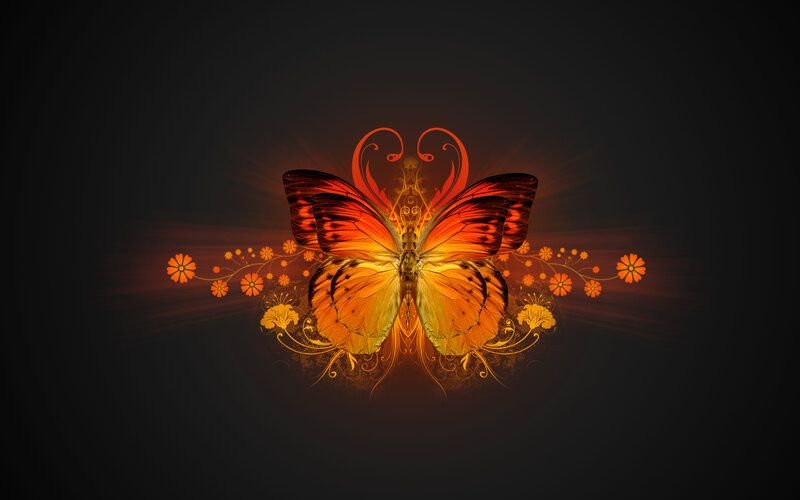 Orange Butterfly Illustration