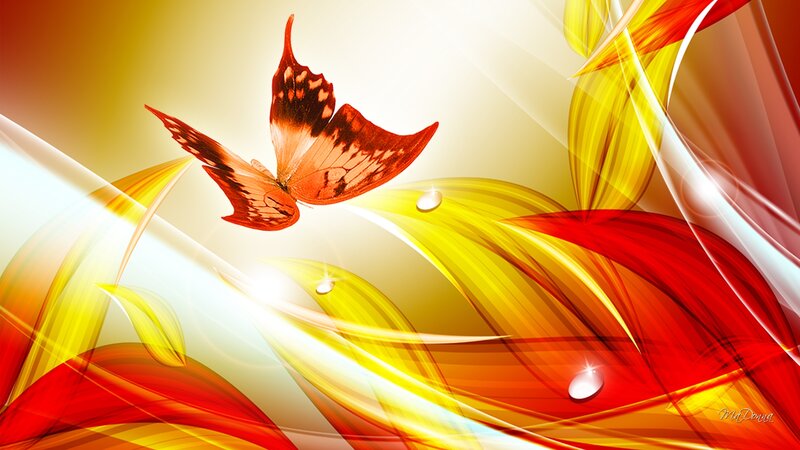 Orange Butterfly in Flight