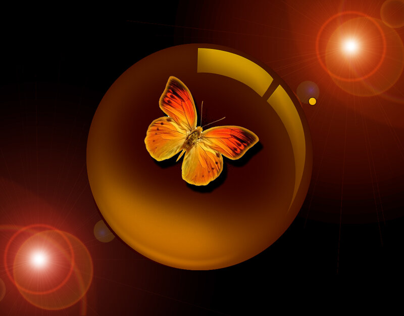 Orange Butterfly in Sphere