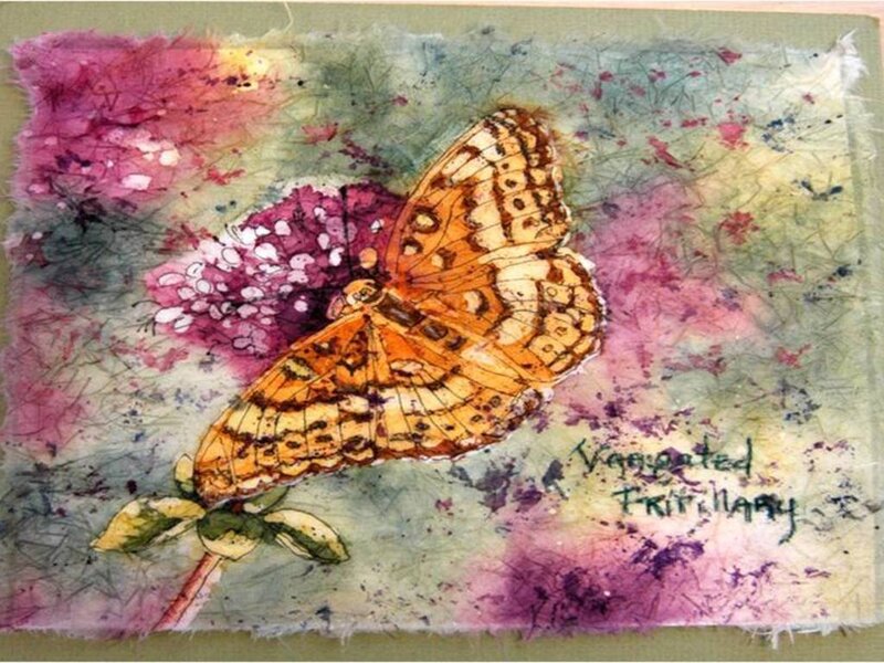 Orange Butterfly on Flower — Purple, Calm