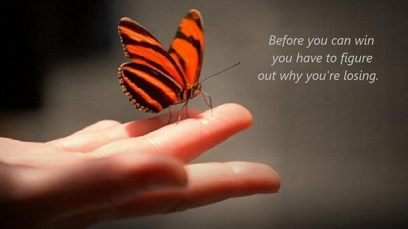 Orange Butterfly on Hand — Calm, Photograph, Text