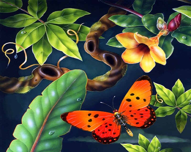 Orange Butterfly on Leaves — Green, Serene