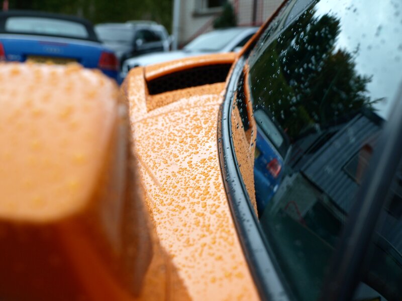 Orange Car Hood — Damp