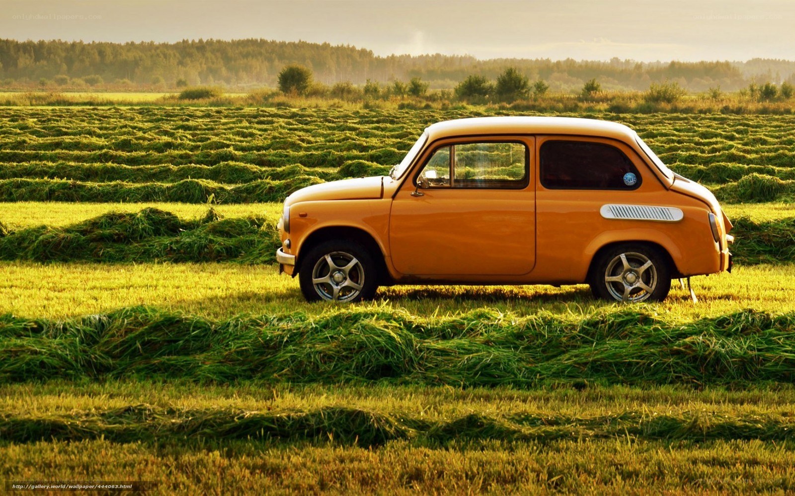 Orange car in a hay field