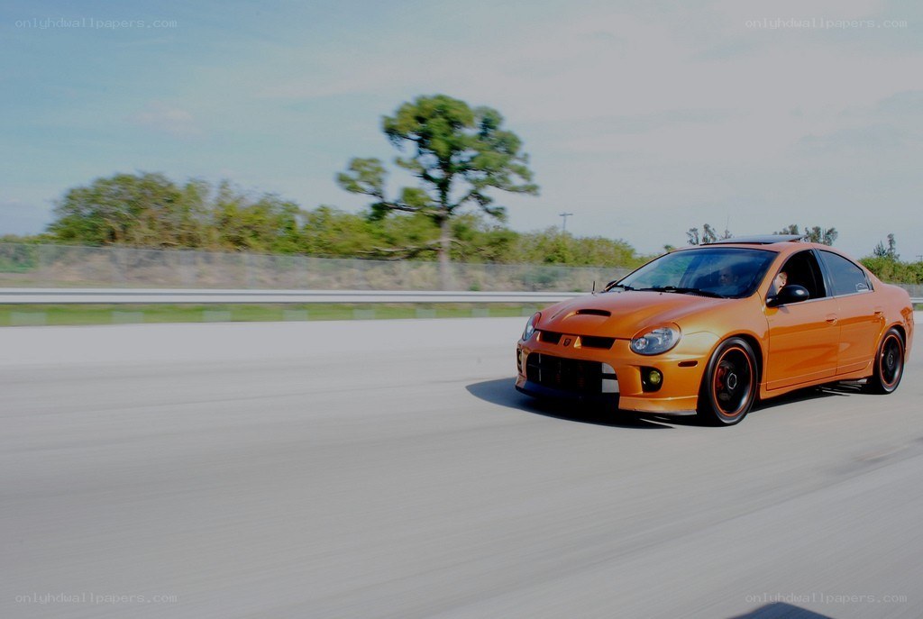 orange car on a racetrack