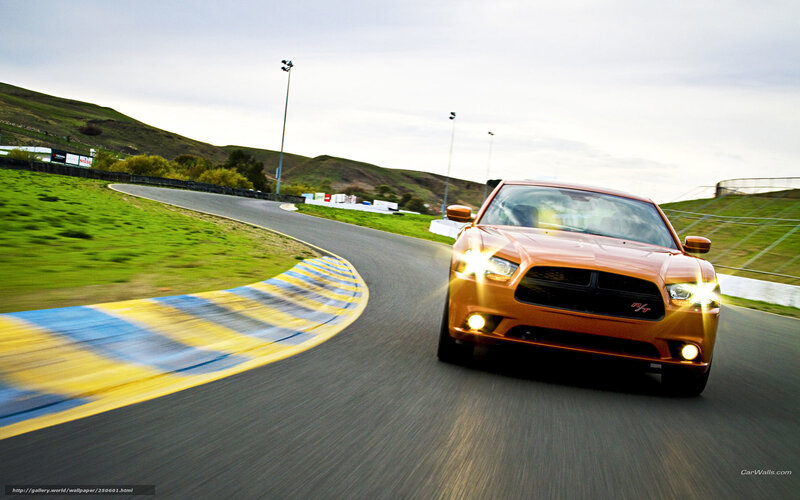 Orange car on racetrack