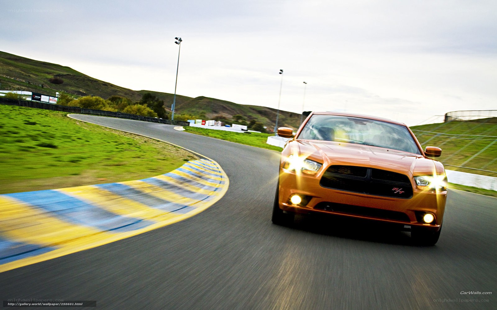 Orange car on racetrack