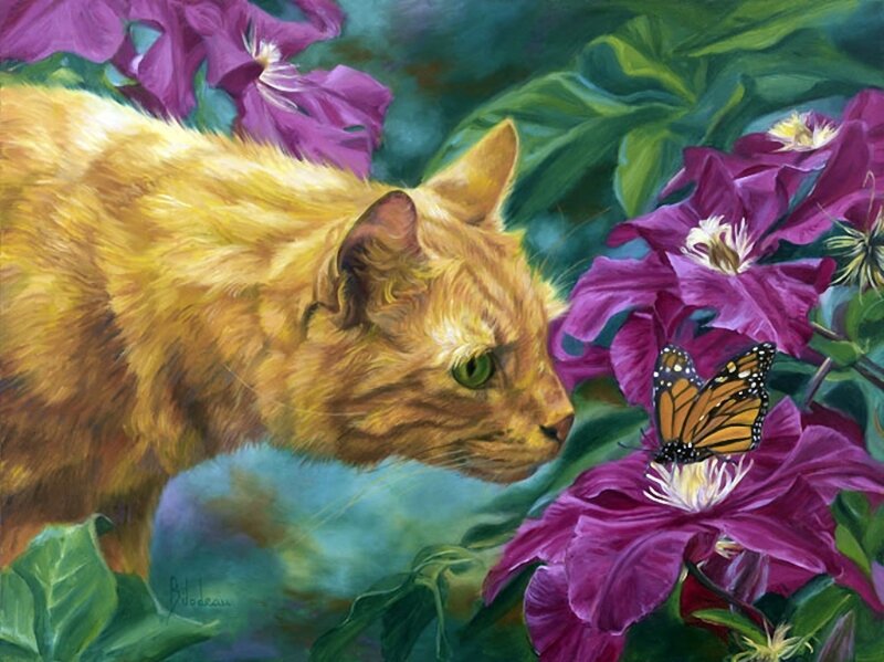 Orange Cat and Butterfly