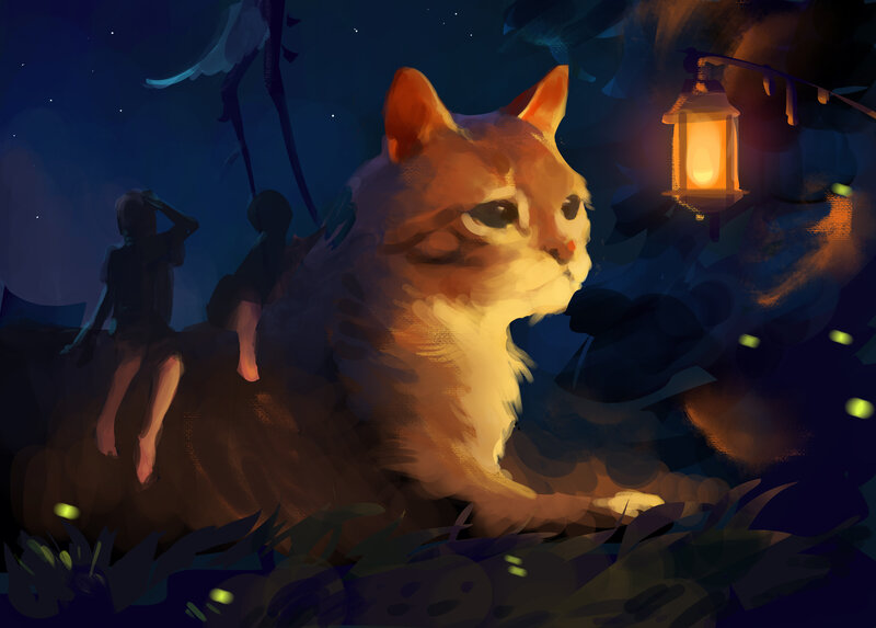 Orange Cat at Night