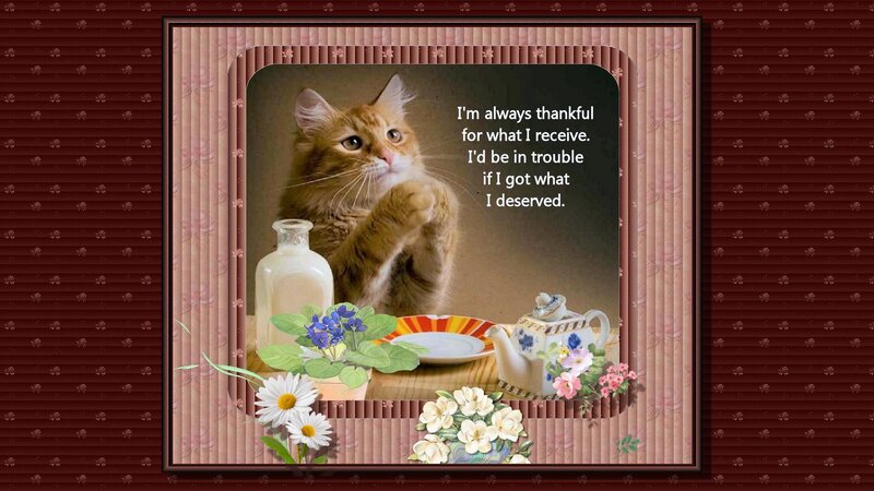 Orange Cat at Tea Table