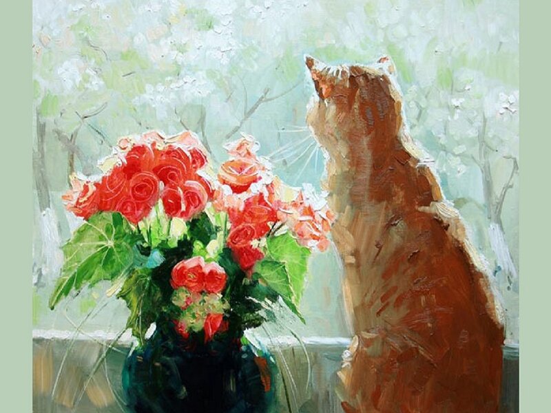 Orange Cat by Window