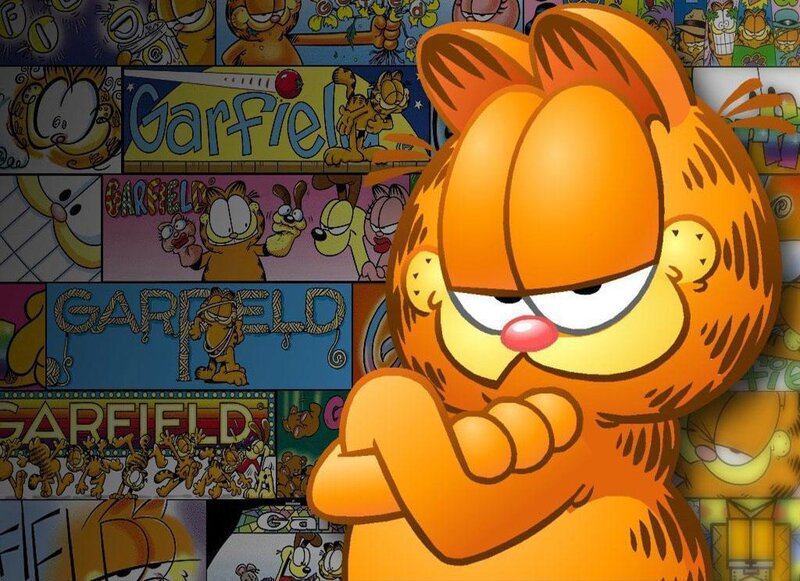 Orange Cat Character