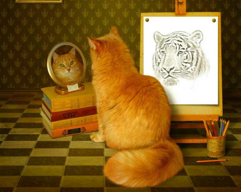 Orange Cat Drawing Tiger