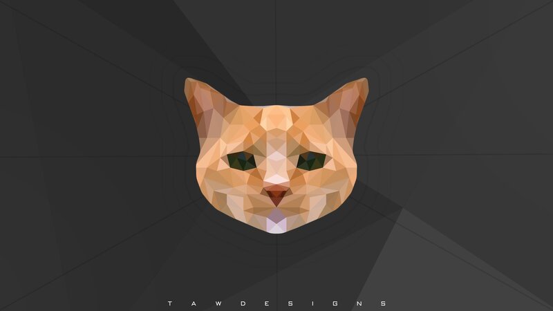 Orange Cat Face — Brown