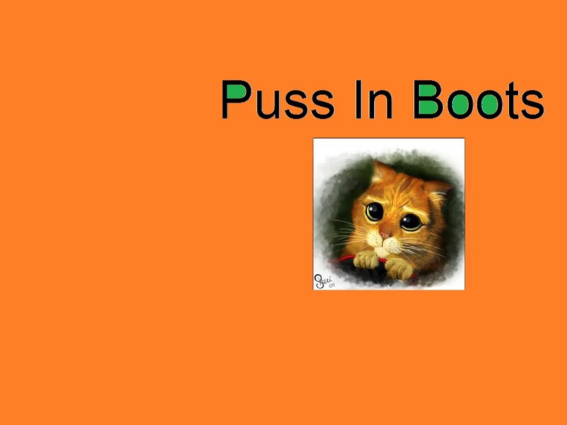 Orange Cat in Boots