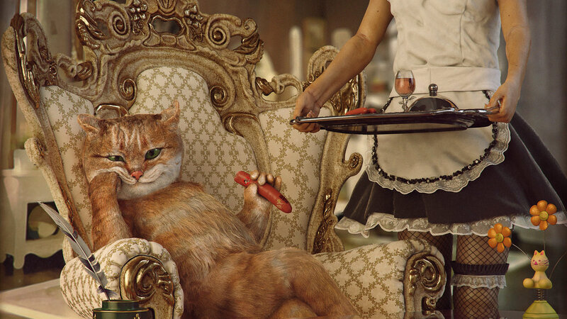 Orange Cat in Chair