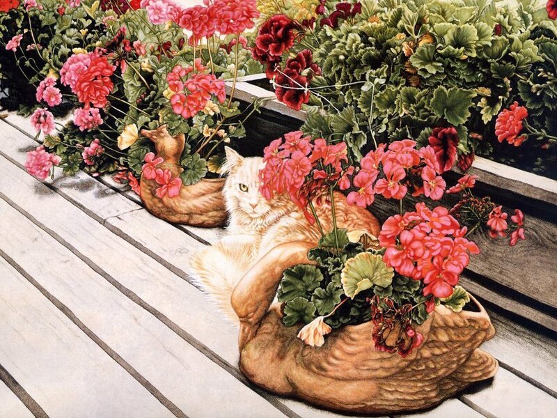 Orange Cat in Flower Pot