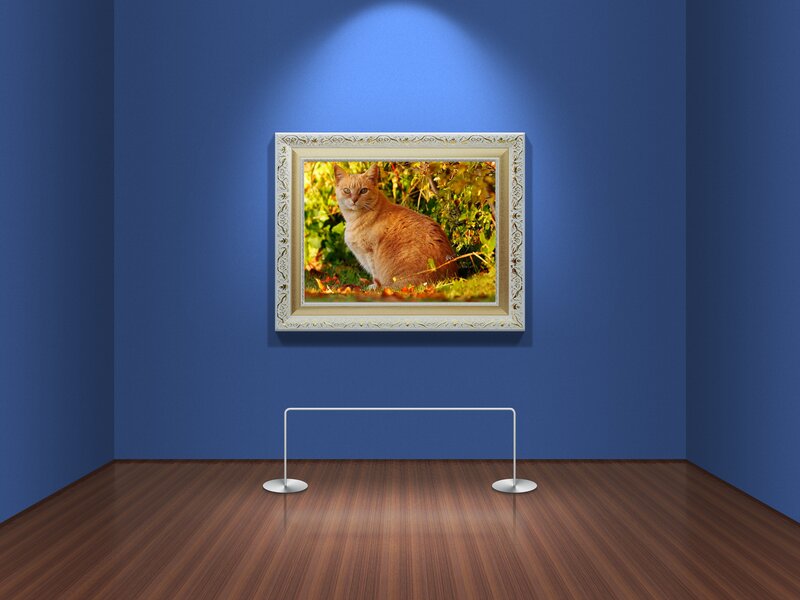 Orange Cat in Frame — Blue