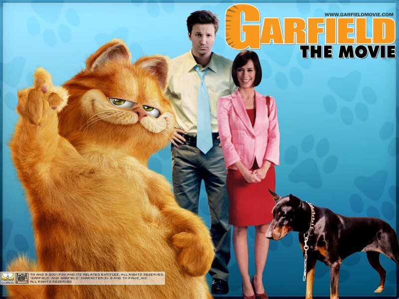 Orange Cat in Front of People