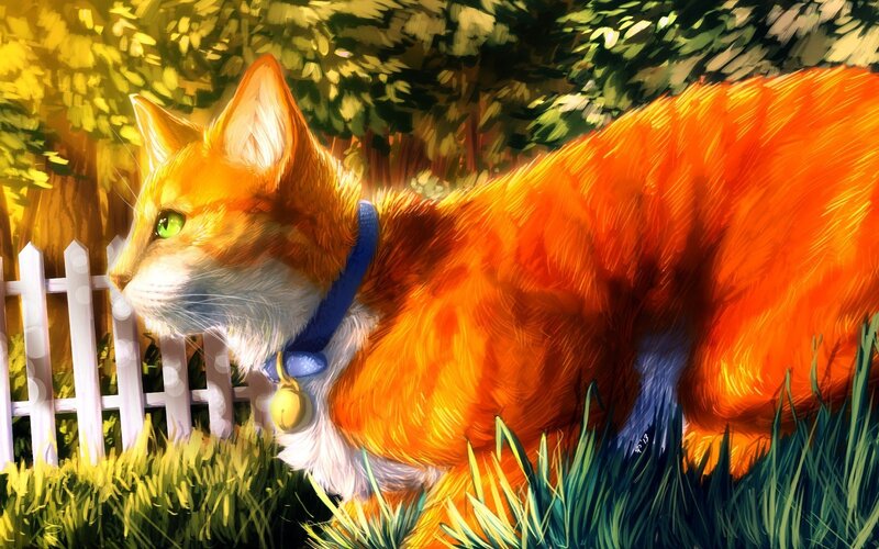 Orange Cat in Grass — Serene