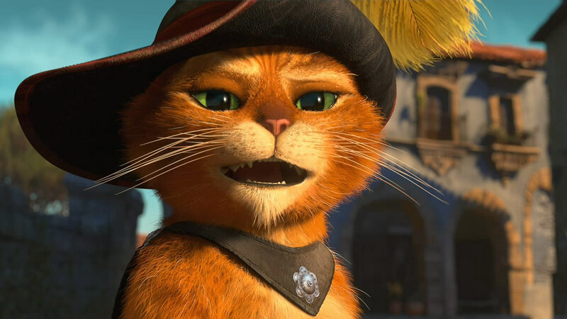 Orange Cat in Hat — Dramatic, Afternoon
