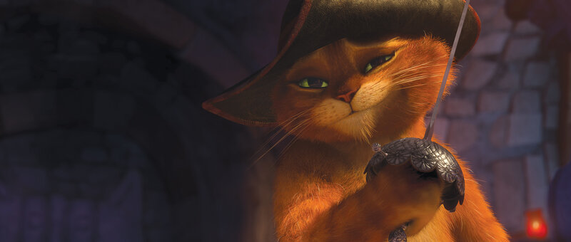 Orange Cat in Hat — Dramatic, Night