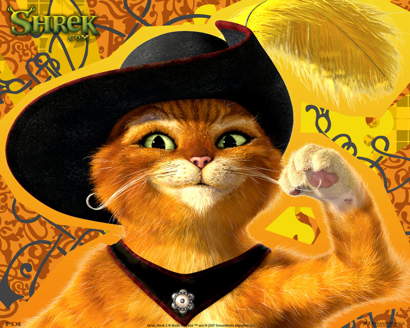 Orange Cat in Hat — Yellow