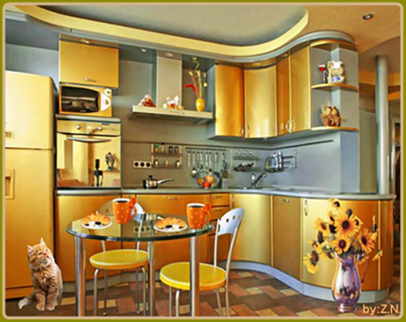 Orange Cat in Kitchen — Gold