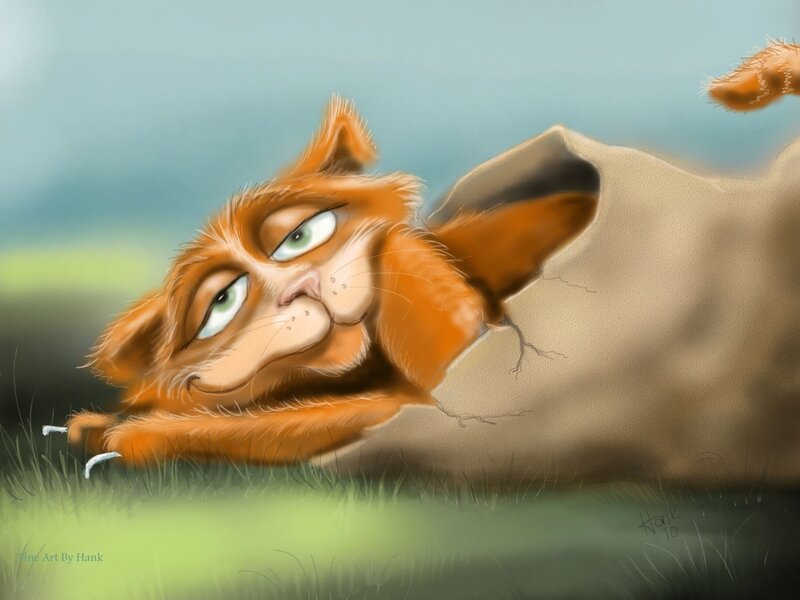 Orange Cat Lying Down — Calm, Afternoon