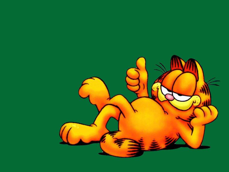 Orange Cat Lying Down — Green