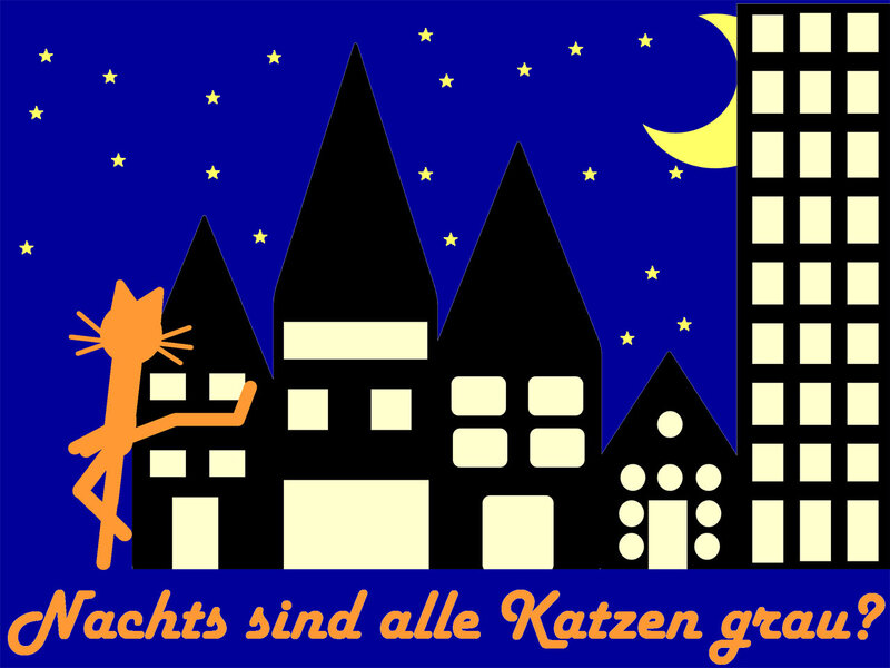 Orange Cat on Buildings