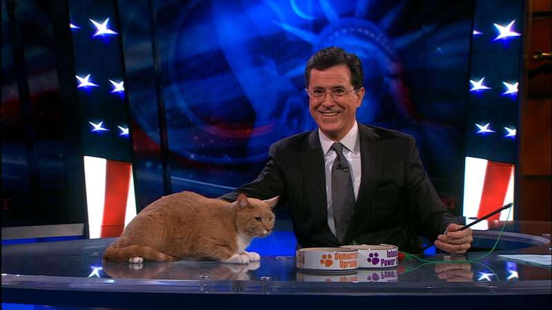 Orange Cat on Desk