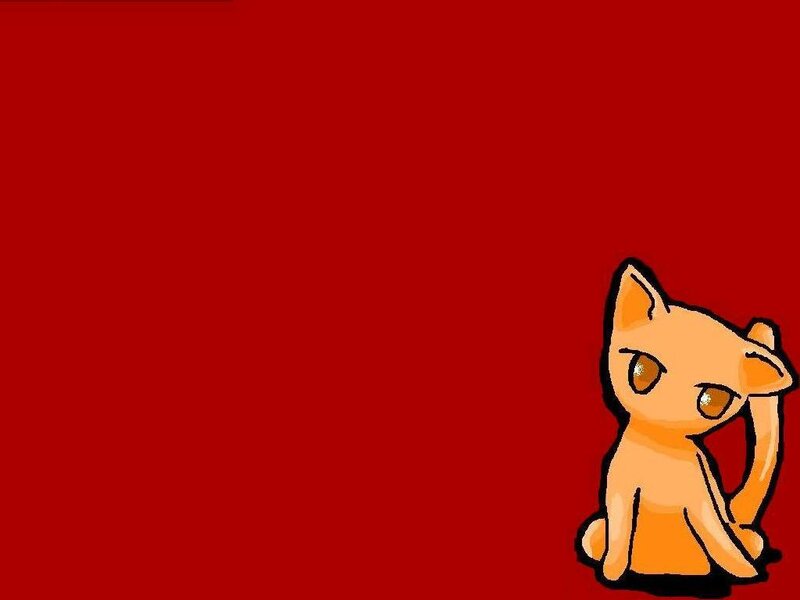 orange cat on red background