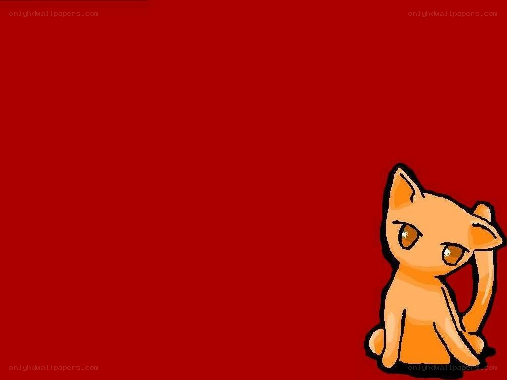 orange cat on red background