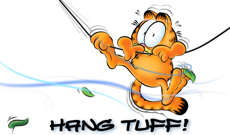 Orange Cat on Rope — Dynamic