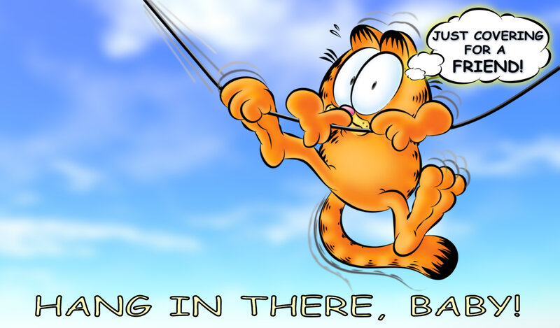 Orange Cat on Rope