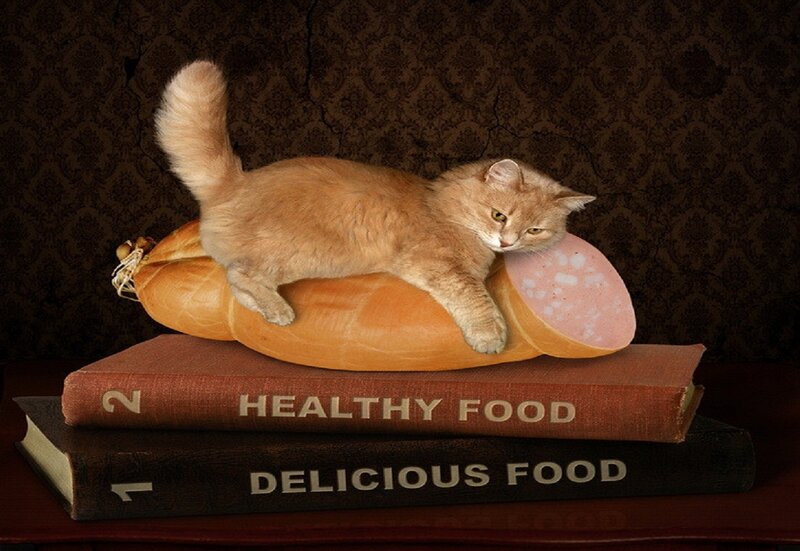Orange Cat on Sausage — Brown