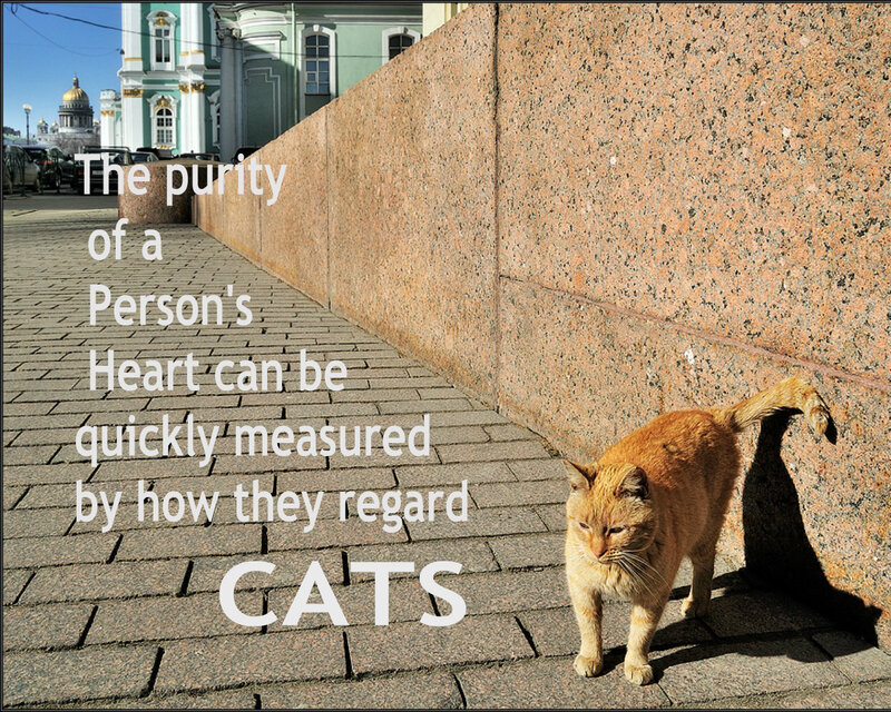 Orange Cat on Sidewalk