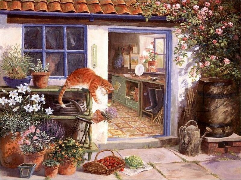 Orange Cat on Windowsill