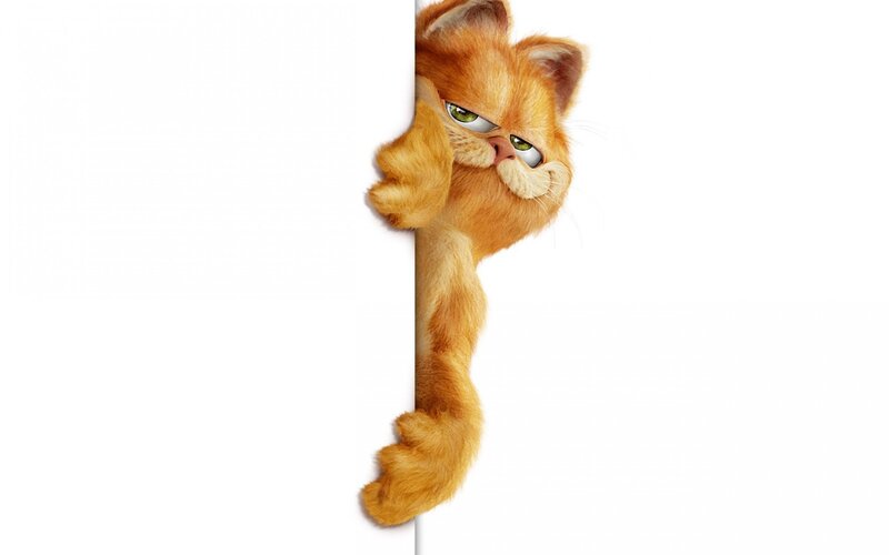 Orange Cat Peeking — Playful