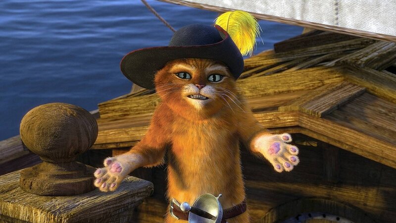 Orange Cat Pirate — Brown