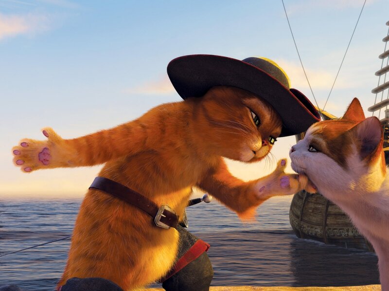 Orange Cat Pirate — Dramatic
