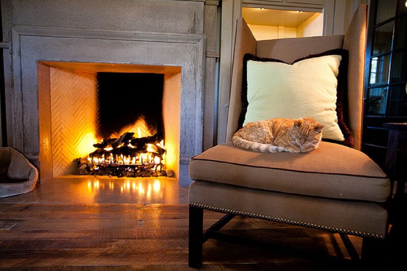 Orange Cat Sleeping — Brown, Cozy