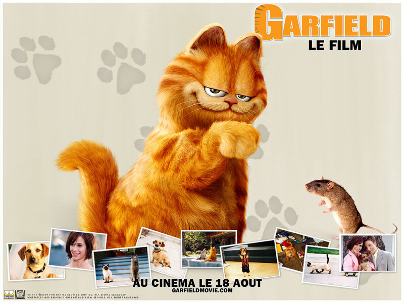 Orange Cat Standing — Comical
