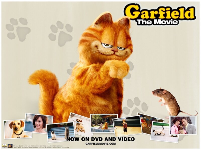Orange Cat Standing — Playful