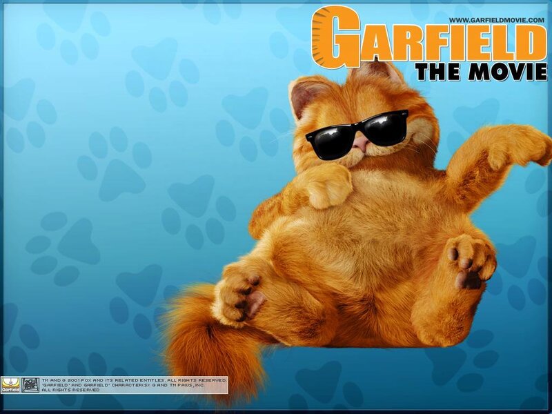 Orange Cat Wearing Sunglasses