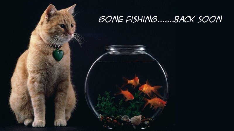 Orange Cat with Fishbowl