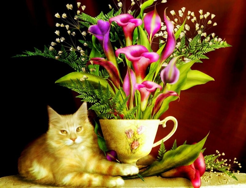 Orange Cat with Flowers
